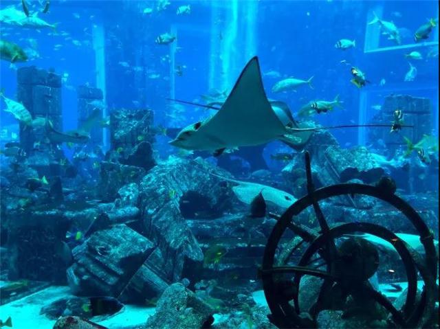 迪拜亚特兰蒂斯酒店 迪拜亚特兰蒂斯酒店