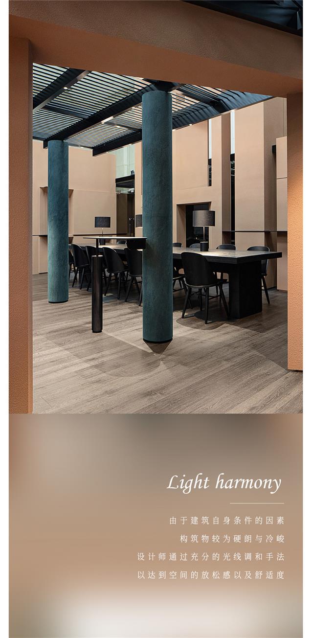 TASSANI塔萨尼艺术涂料 ▏原石质感水晶石，来自荒野回归自然