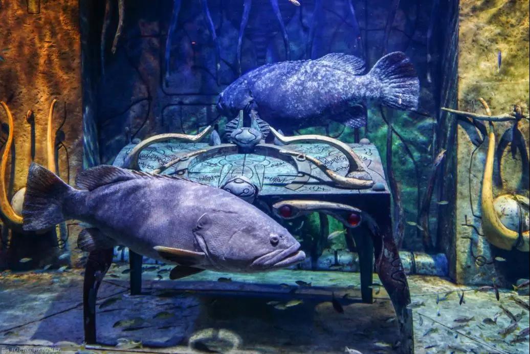 迪拜亚特兰蒂斯酒店 迪拜亚特兰蒂斯酒店